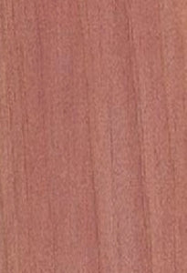 2.5 oz. Cedarwood henna with cap and gloves (application brush option)