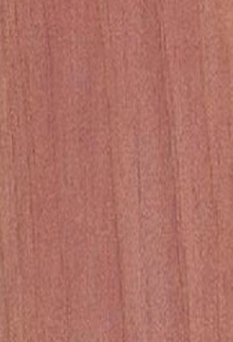 2.5 oz. Cedarwood henna with cap and gloves (application brush option)